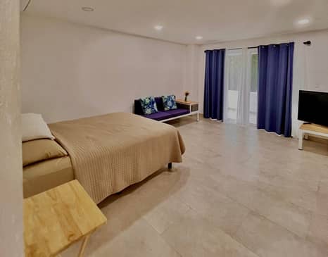 Slider image (2) Ibogaine Cancun